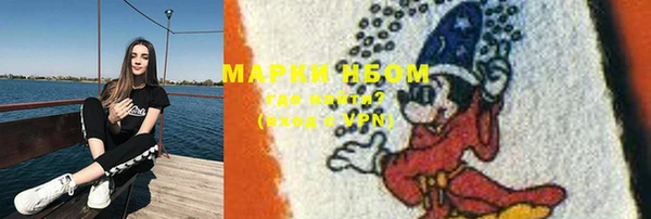 PSILOCYBIN Магас