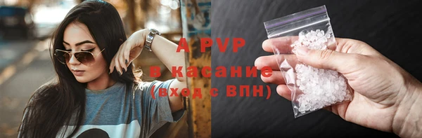 PSILOCYBIN Магас
