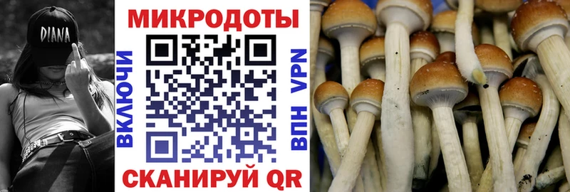 Псилоцибиновые грибы MAGIC MUSHROOMS  блэк спрут зеркало  Игра  наркошоп 